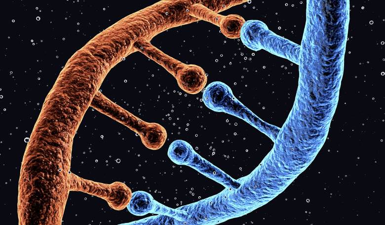 China’s ‘Quantum Leap’ in Genetics Could Provide ‘Renewed Theoretical Foundation’ for Eugenics