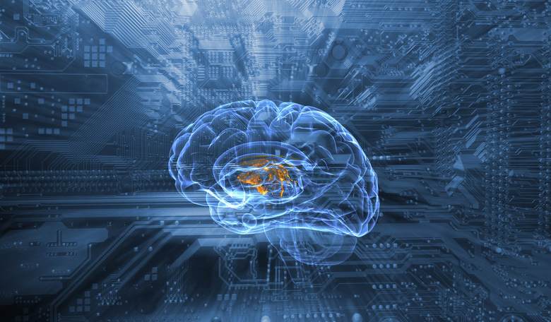 Startup Claims It Can Preserve Your Brain for the Purpose of (One Day) Downloading Your Memories