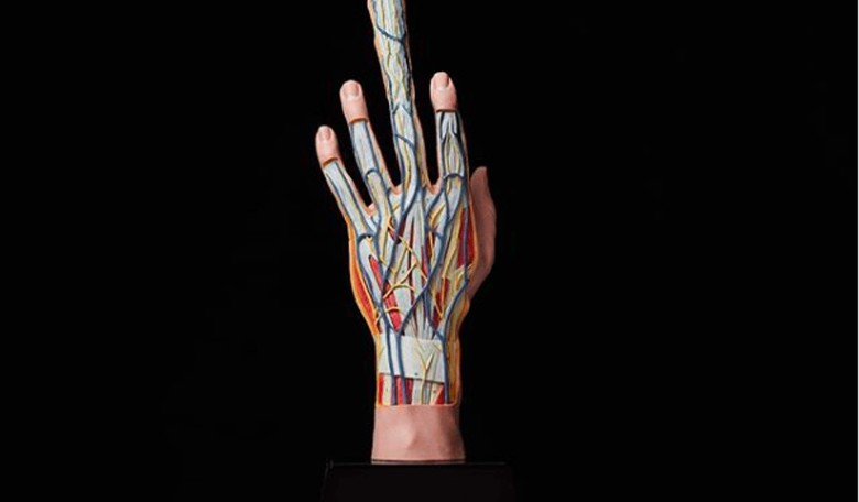 Korean Designer Makes 'Seeding Finger' So a Woman Can 'Become Pregnant by Herself'