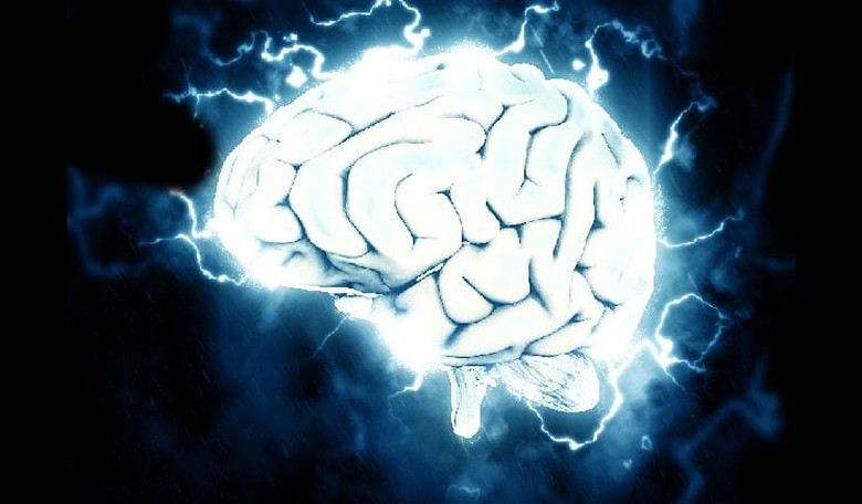 Are Liberals High On Dopamine?
