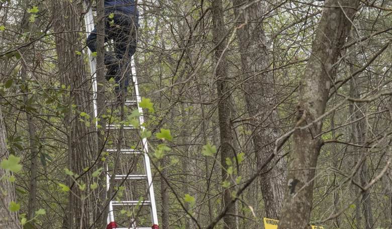 Pipeline Protesters Kick it Up a Notch, Setting Up Camp in Treetops
