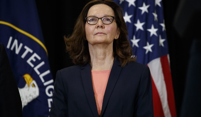 Haspel: CIA 'a National Treasure,' Will 'Forge Ahead with Determination'