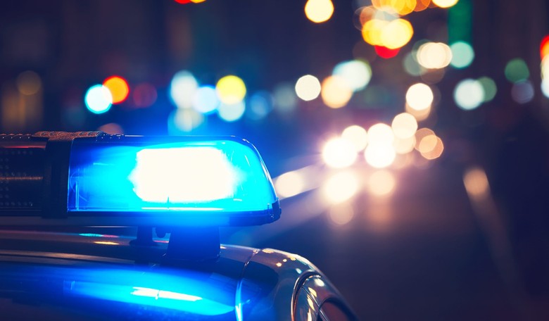 On the LAPD 'Civilian Oversight' Board, the Untrained Criticize Police Work