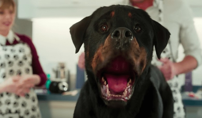 'Show Dogs' Pulled from Theaters over Inappropriate Dog Genital Groping Scenes