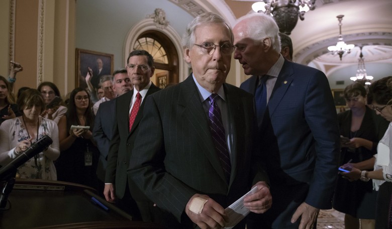 McConnell: 'All of the Members of the Republican Conference' Back Stopping Family Separation