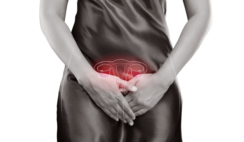 Feminists Now Want to Rename Female Body Parts... Because They Were Named by Men