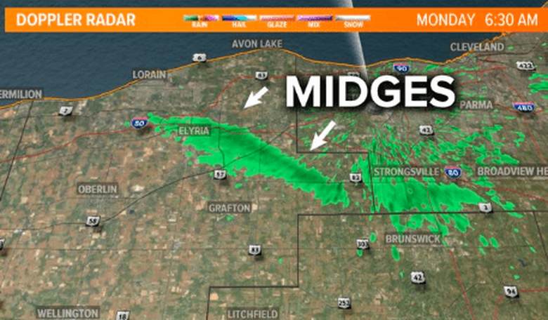 Massive Cloud of Flying Midges Descends on Cleveland, Visible on Weather Radars