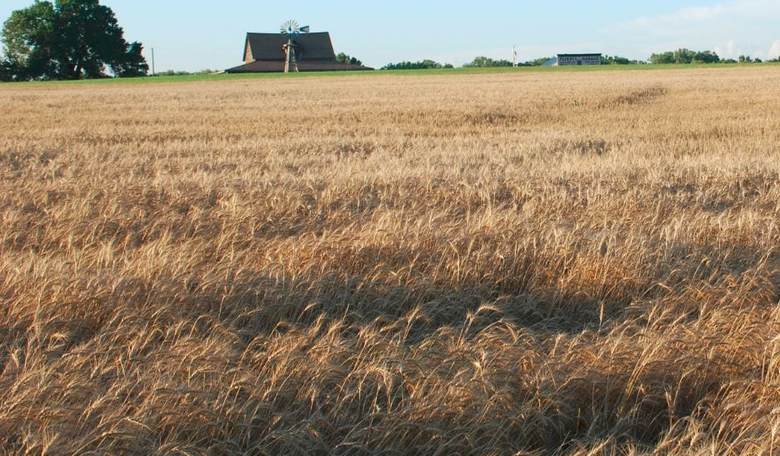 Little House on the Racist Prairie