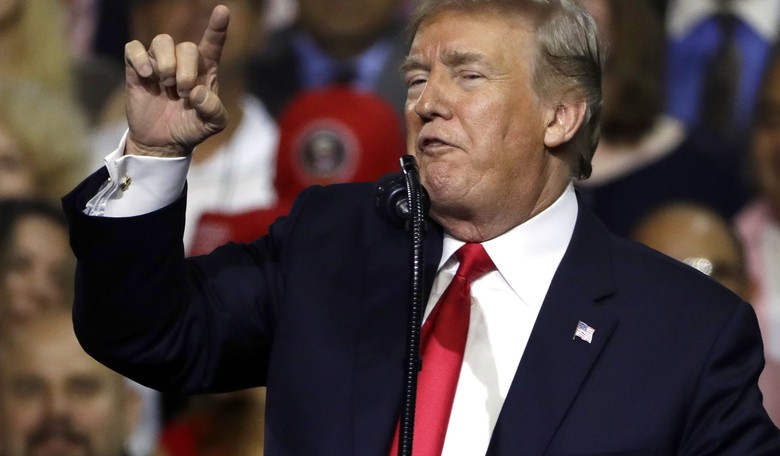 Trump in Florida: 'The Time Has Come for Photo ID' for Voting