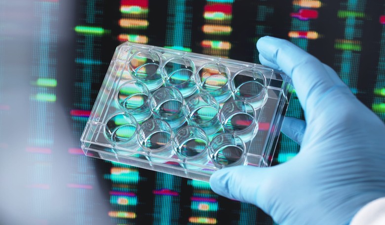 DNA Databases from Ancestry.com, 23andMe Help to Solve Decades-Old Cases