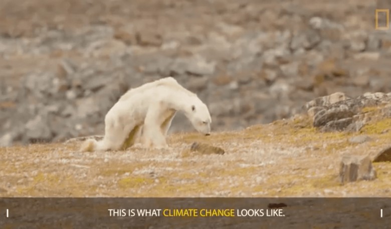 FAKE NEWS: Nat Geo Retracts Unscientific Message in Viral Climate Change Video