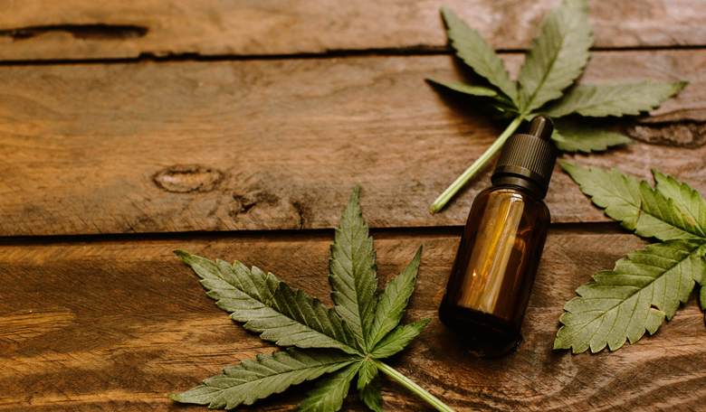 Cannabis Oil Helped 80 Percent of Autistic Children, Israeli Study Finds
