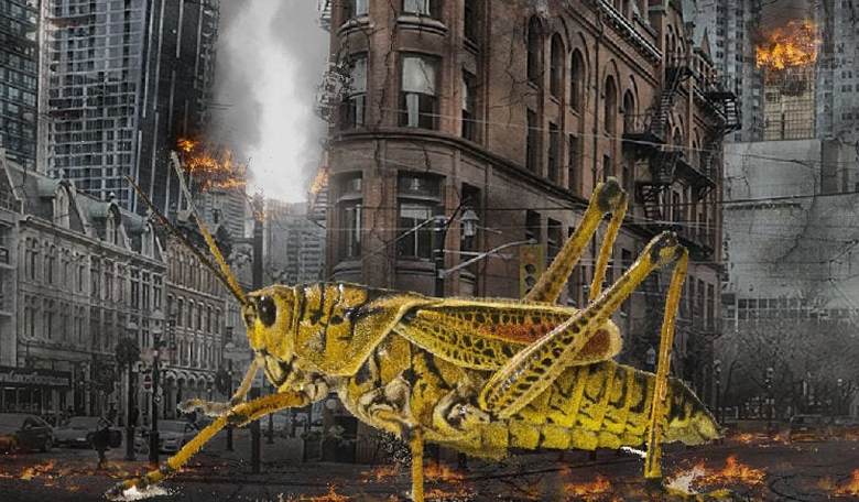 The Left Are the Locusts of Culture