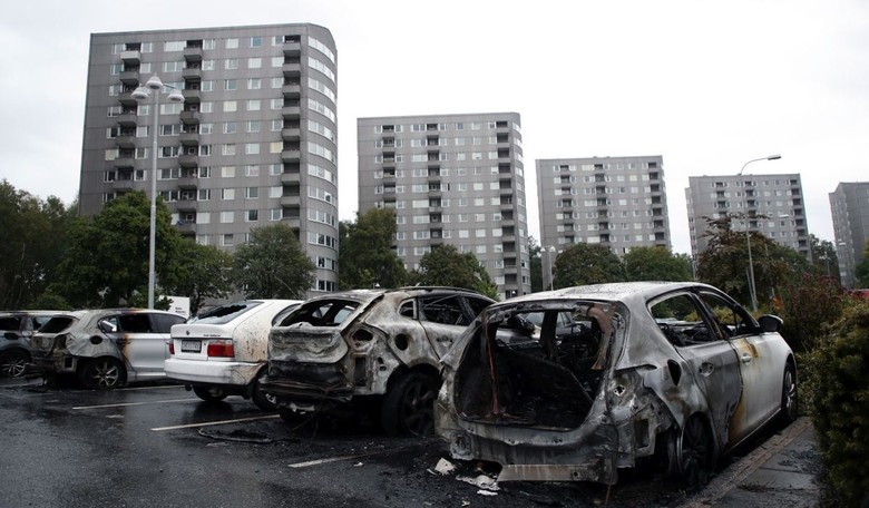 Swedish PM's Pathetic Lament Against Ungrateful Immigrant Arsonists