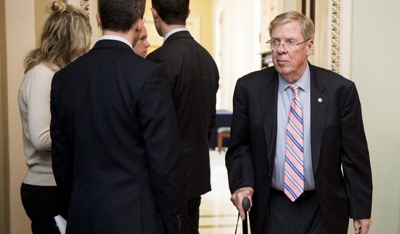 GOP Senator: Anyone Who 'Tarnishes the Legacy' of McCain 'Deserves a Whippin'