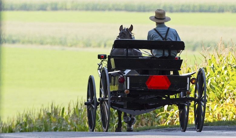 Amish Uber? Michigan Man Starts His Own Horse and Buggy Service