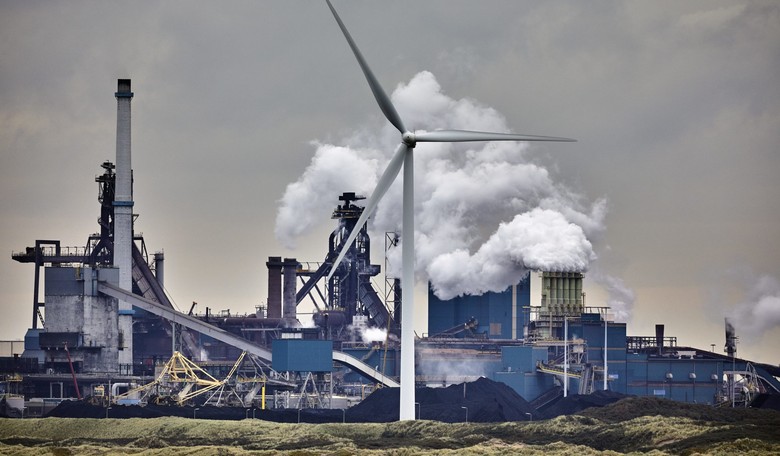 Eco-Groups Push for 'Vegan Electricity,' Free from Animal Byproducts