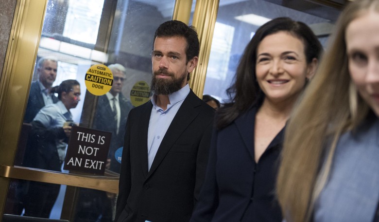 Twitter CEO Tells Senate He'll Do More to Alerts Users Subjected to 'Any Falsehoods or Any Manipulation'