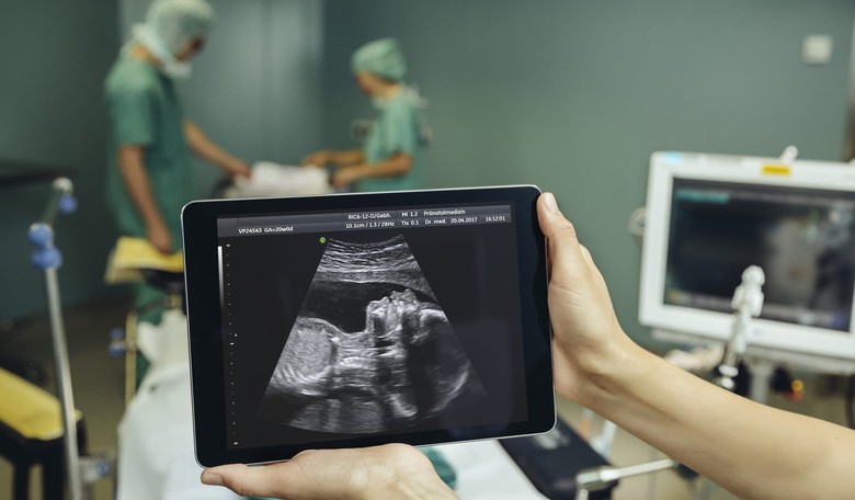 Why Is HHS Partnering with an Organization Under Federal Investigation for Harvesting Aborted Fetuses?