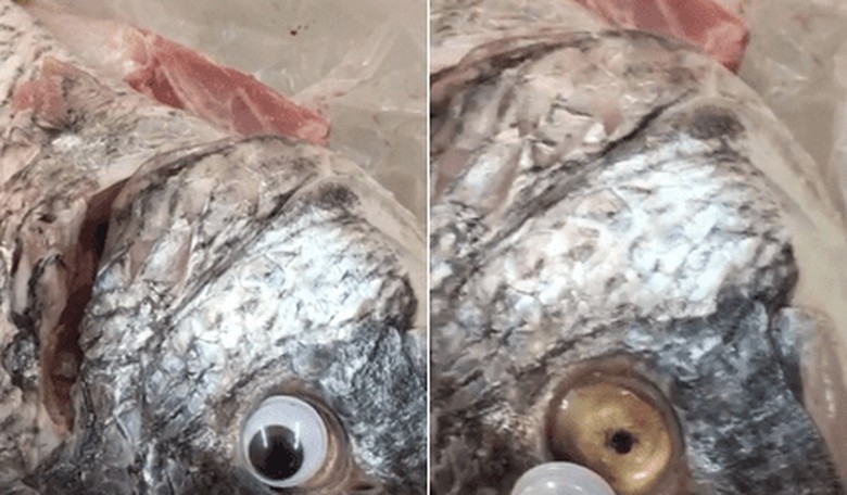 Store Caught Sticking Googly Eyes on Fish to Make Them Look Fresh