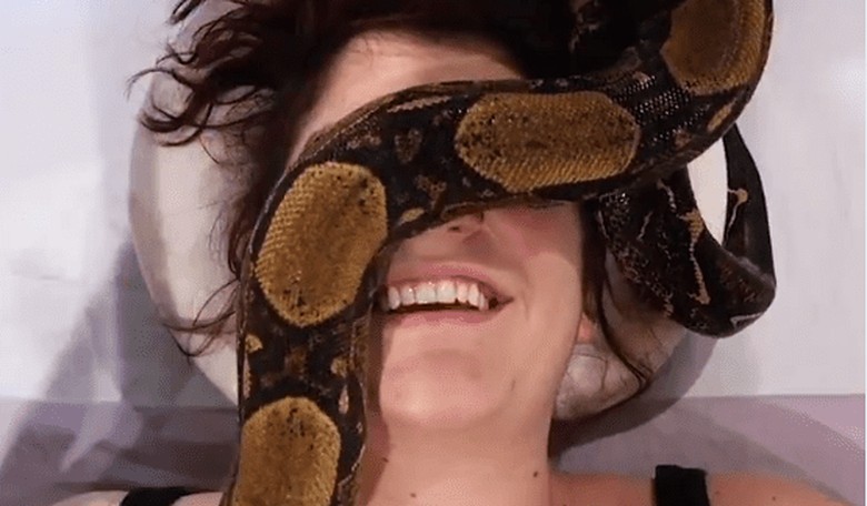 Could Snake Massages Be the Key to Better Health?