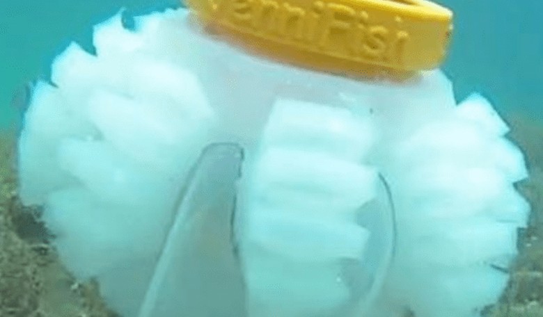 Robotic Jellyfish Might Be the 'Guardians of the Ocean'