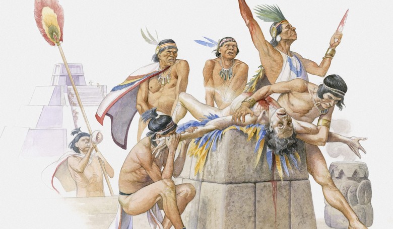 The Great Cultural Revolution, American-Style