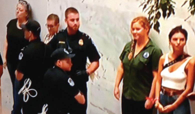 Amy Schumer Arrested During Kavanaugh Protest at Senate Office Building