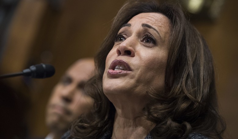 Kamala Harris Grills ICE Nominee About Parallels Between ICE and KKK