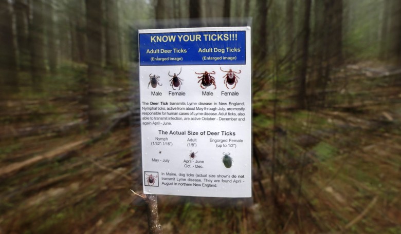 Tick Diseases Hit Record Levels, U.S. Unprepared to 'Control These Threats,' Warns CDC