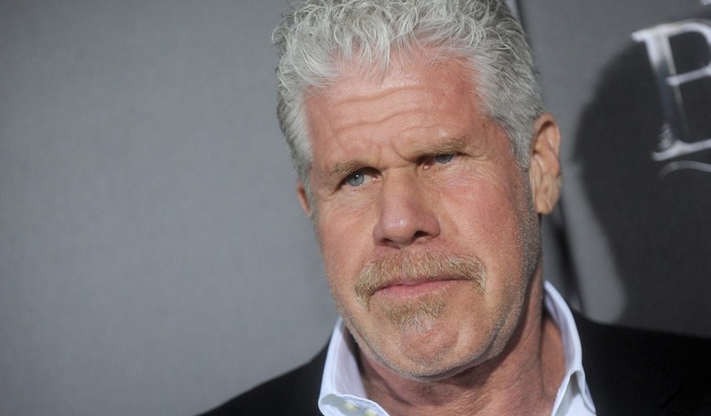 Actor Ron Perlman Launches a Nasty, Homophobic Tweet at Sen. Lindsey Graham