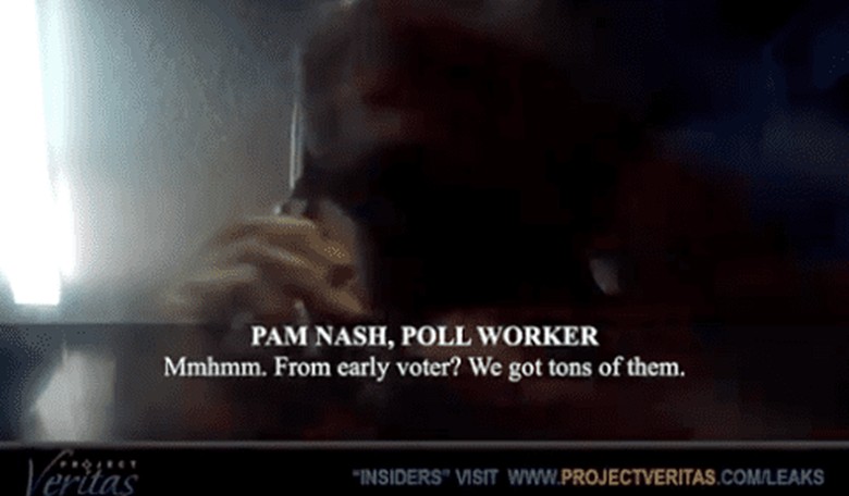 Poll Workers in Texas Tell Undercover Reporter That Dreamers Can Vote