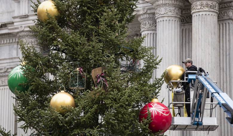 Philly’s ‘Holiday Tree’ Name Lives On, as Other Cities Drop the Silliness