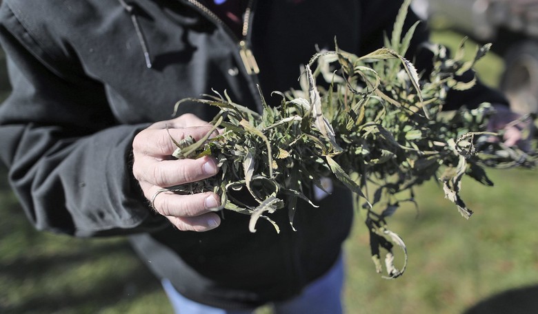 Bipartisan Push to Legalize Hemp Approved in Farm Bill