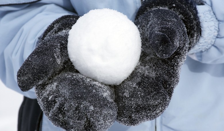 9-Year-Old Boy Stands Up to Government Overreach, Gets Snowball Ban Overturned