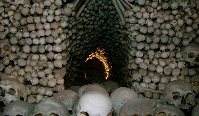 Dark Philosophies Spur Calls for Human Extinction, an End to 'Speciesism,' and 'Human Supremacy'