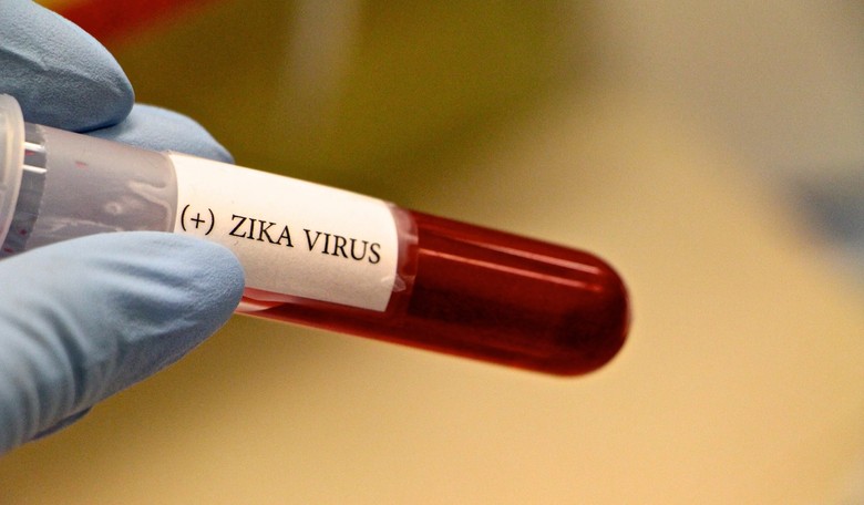 Do Deadly Viruses Undermine God's Goodness?