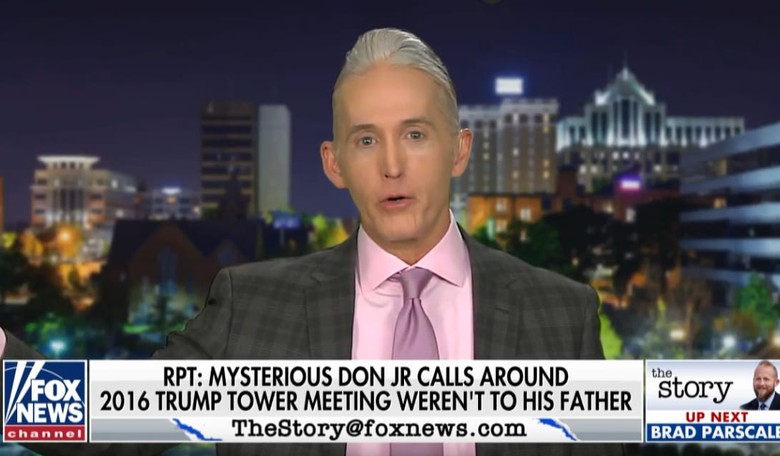 Gowdy Roasts Rep. Adam Schiff After His Trump Jr. Conspiracy Theory Goes Down in Flames
