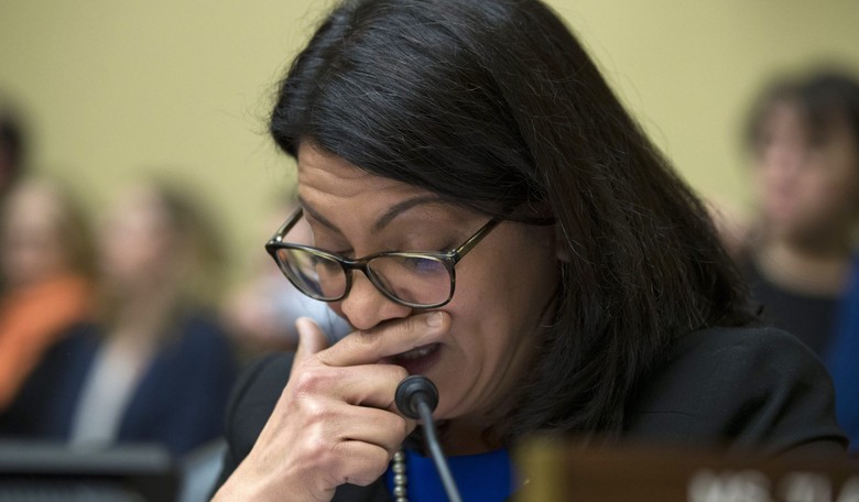 Rep. Tlaib Blows Up Cohen Hearing: It Was a 'Racist Act'  for a Republican to Bring a Black 'Prop'