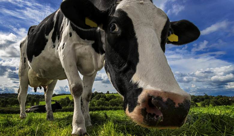 Stop Laughing: Yes, the Green New Deal Is Stupid and Evil, But It’s Coming
