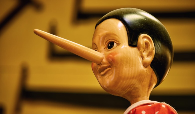 The 5 Biggest Widely Accepted Lies in Politics