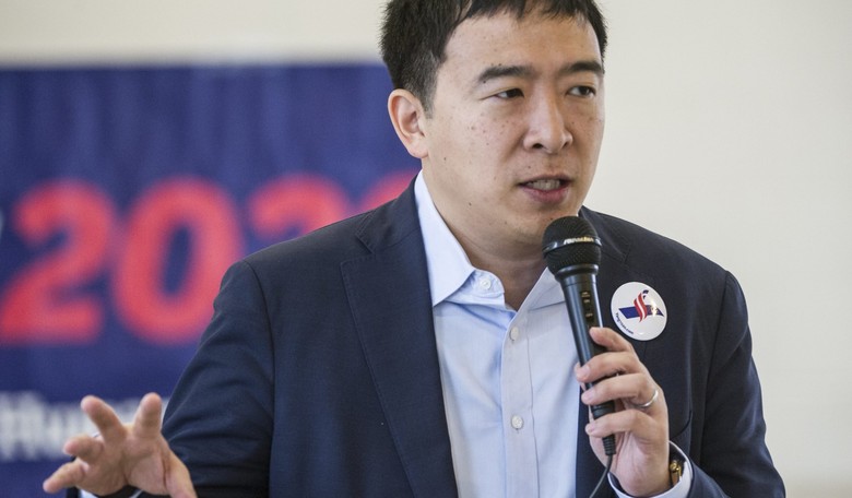 Surprising Surge by Andrew Yang Reorders the Democratic Field
