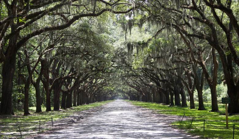 8 Incredible Places to Spend Your Adult Spring Break