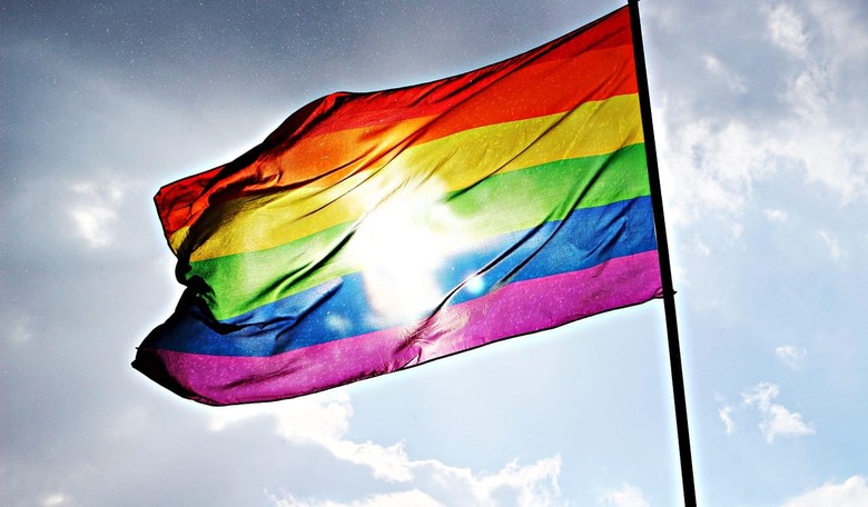 LGBT Bullies Strike Again: Federal Court Rules Philadelphia Can Discriminate Against Catholic Foster Care Agencies