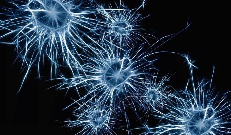 Electrical Brain Stimulation Restores Memories in Elderly