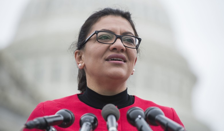 Tlaib Says Her Constituents Want to See 'Direct Payment' as Reparations