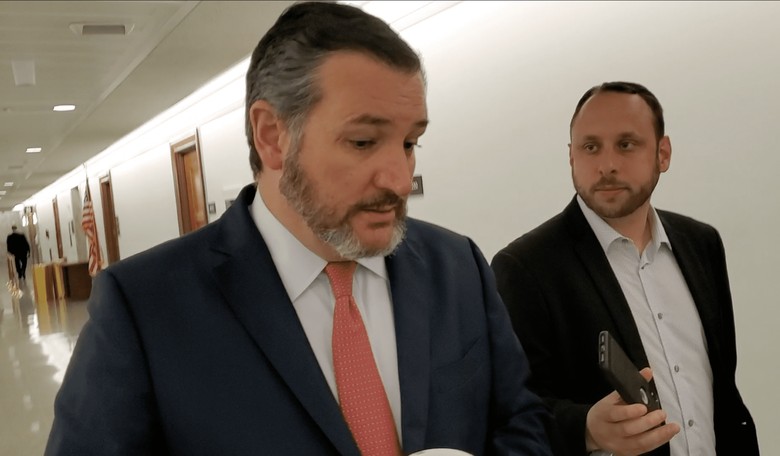 Ted Cruz on Rising Support for Socialism: 'It Reflects a Real Failure on the Part of All of Us'