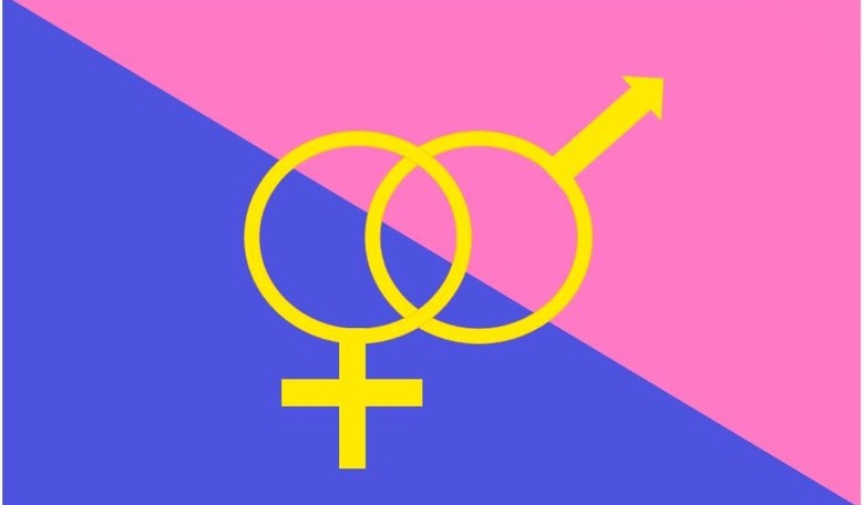 There's a Very Good Chance a Straight Pride Flag Will Fly Over Boston City Hall, Parade Organizer Says