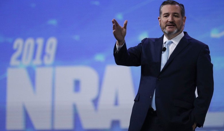 Cruz Warns GOP Not To 'Abandon' the Second Amendment