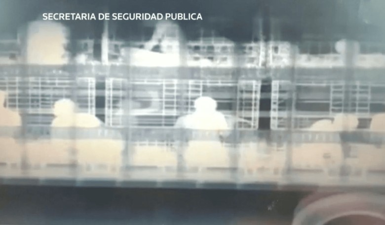 Trumpism Works: Mexico Scanning for Illegals with a GIANT X-RAY MACHINE